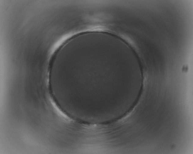 X0000113241414200909171552