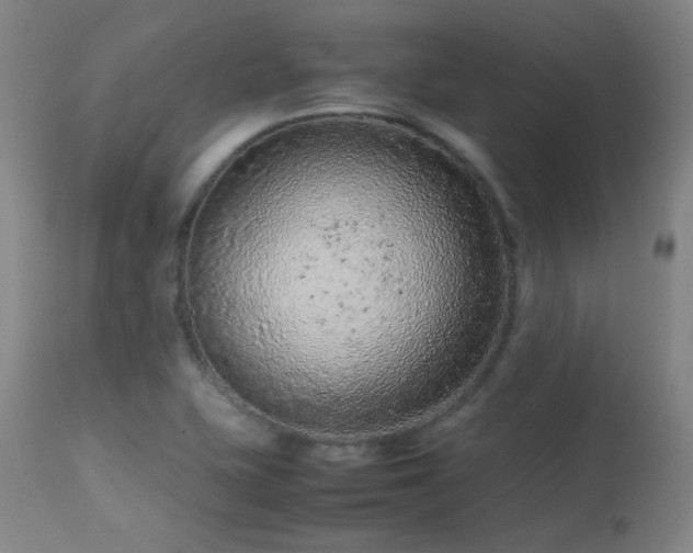 X0000113241415200909171552