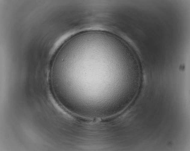 X0000113241416200909171552