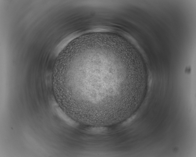 X0000113241417200909171552