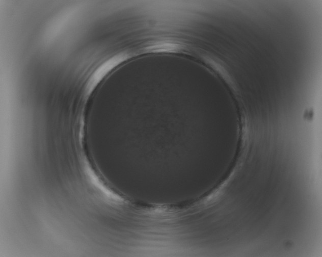 X0000113241418200909171552