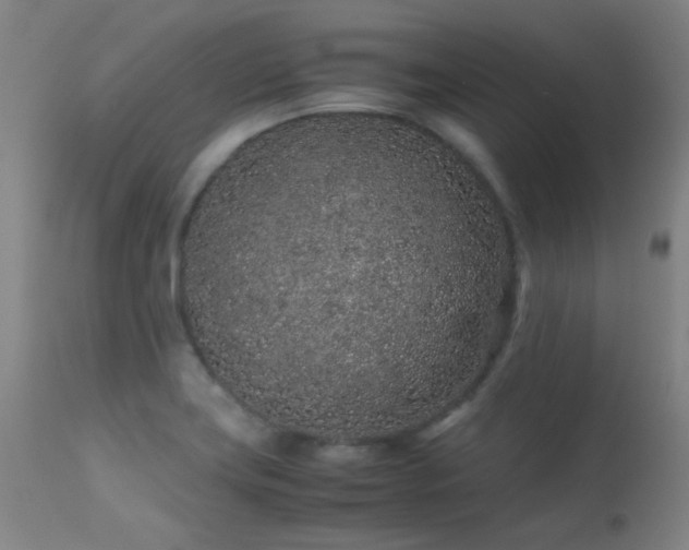 X0000113241419200909171552