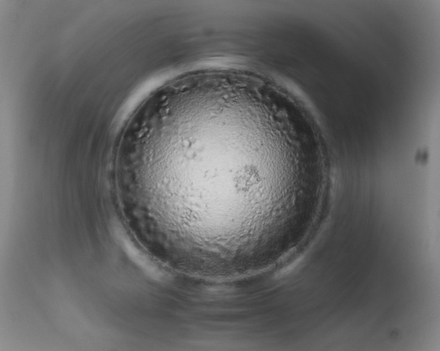 X0000113241421200909171552