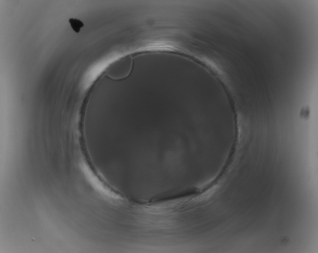 X0000113241422200909171552