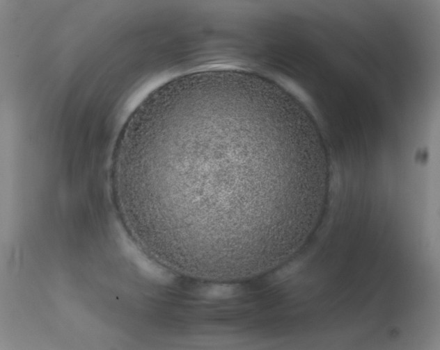 X0000113241423200909171552