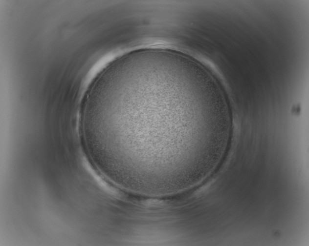 X0000113241424200909171552