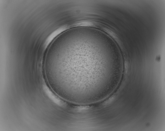 X0000113241426200909171552