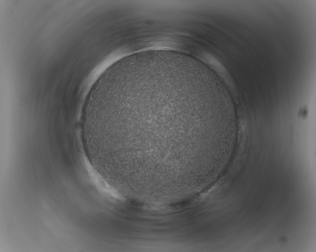 X0000113241427200909171552