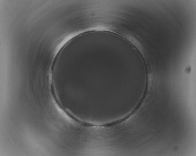 X0000113241428200909171552