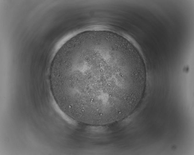 X0000113241429200909171552