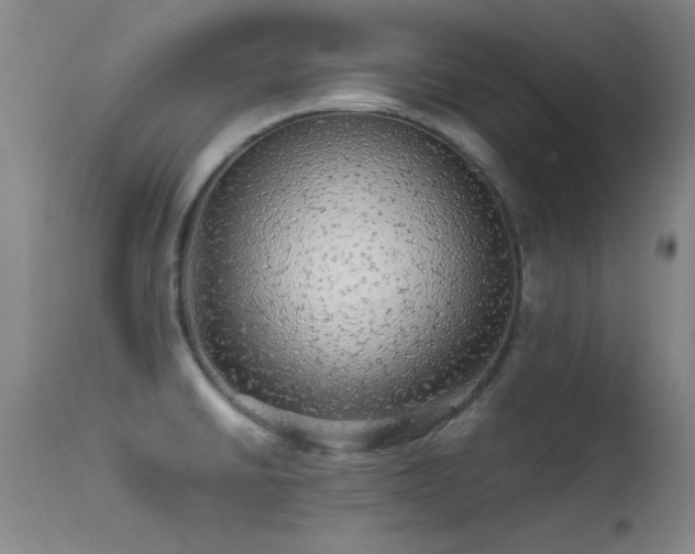 X0000113241430200909171552