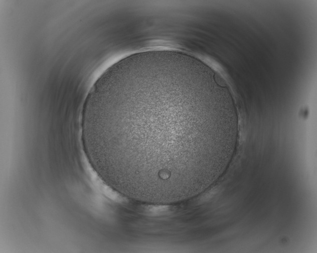 X0000113241431200909171552