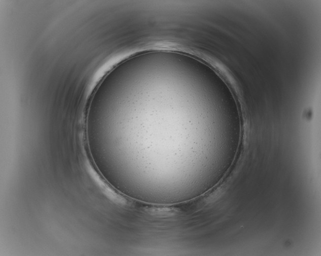 X0000113241432200909171552