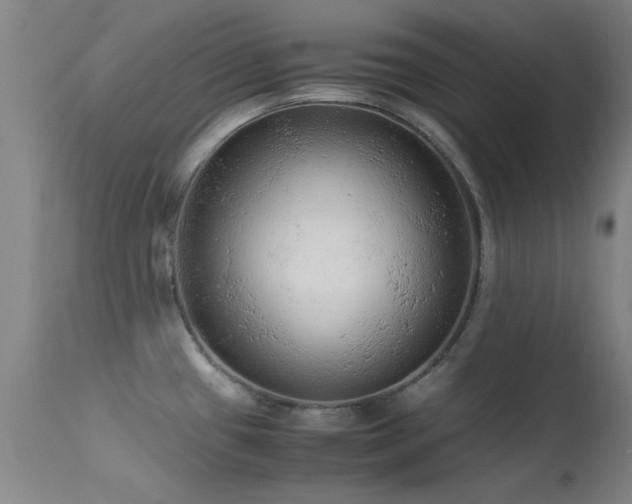 X0000113241433200909171552