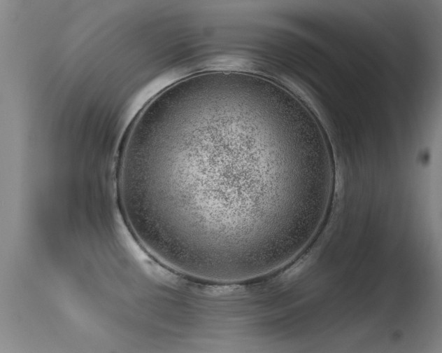 X0000113241434200909171552