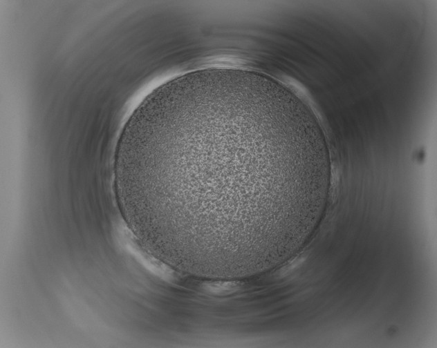 X0000113241435200909171552