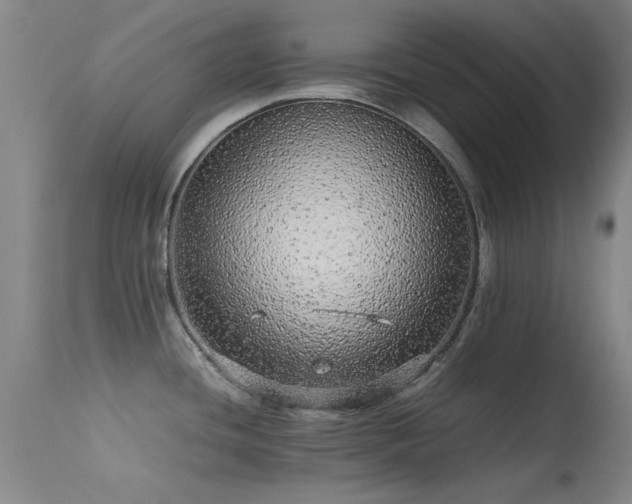 X0000113241436200909171552