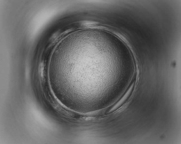 X0000113241438200909171552