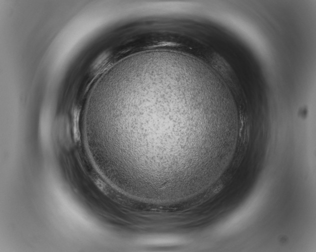 X0000113241439200909171552