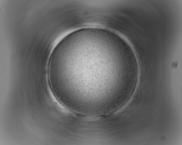 X0000113241440200909171552