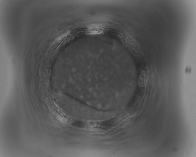 X0000113241441200909171551