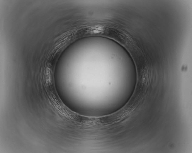 X0000113241442200909171551