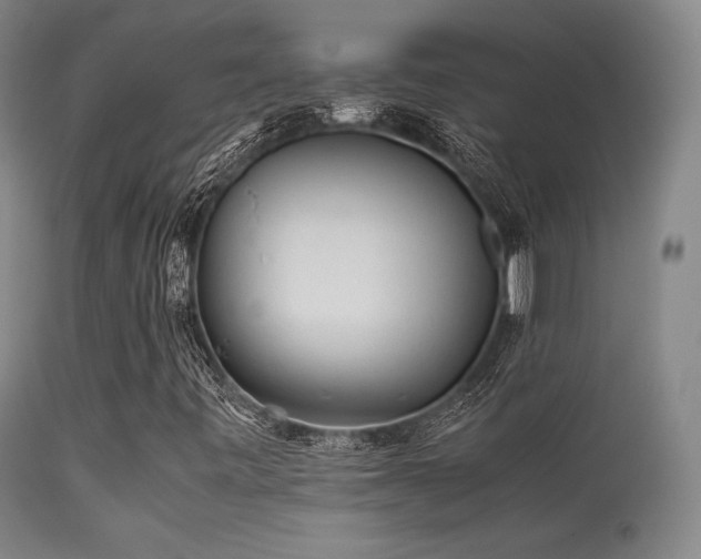 X0000113241443200909171551