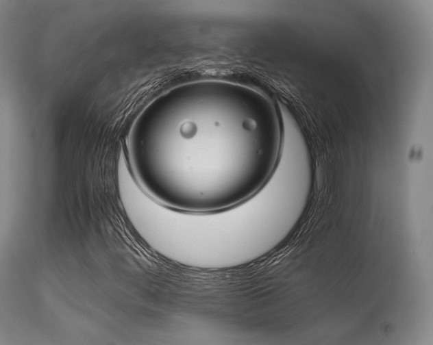 X0000113241444200909171551