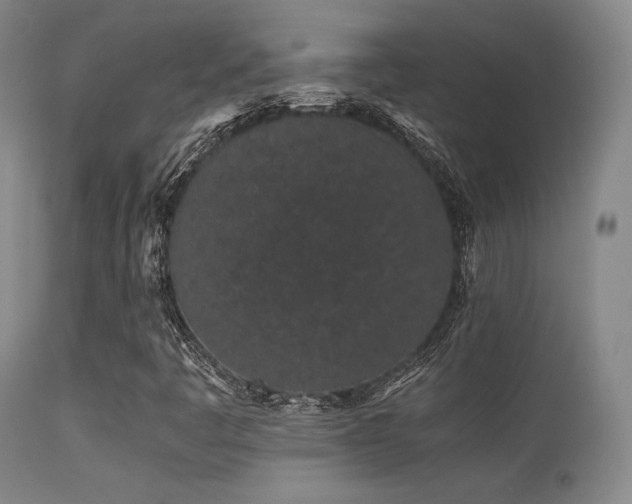 X0000113241445200909171551