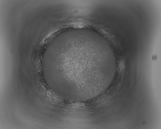 X0000113241446200909171551