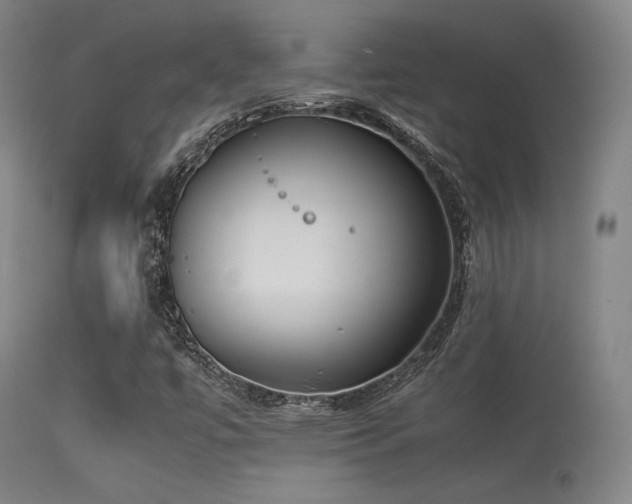 X0000113241447200909171551