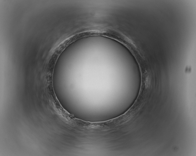 X0000113241448200909171551