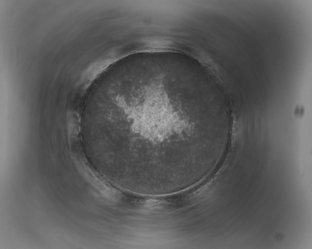 X0000113241449200909171551