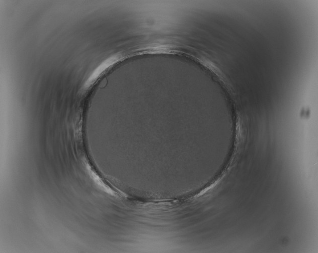 X0000113241450200909171551