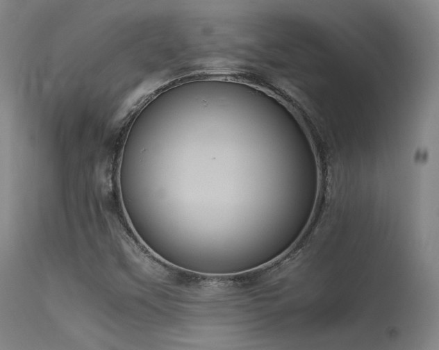 X0000113241451200909171551