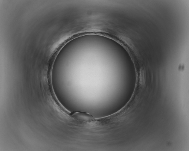 X0000113241452200909171551