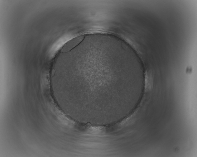 X0000113241453200909171551