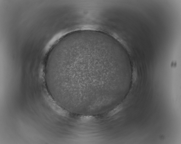 X0000113241454200909171551