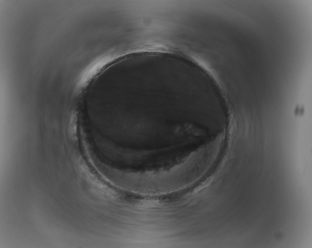 X0000113241455200909171551