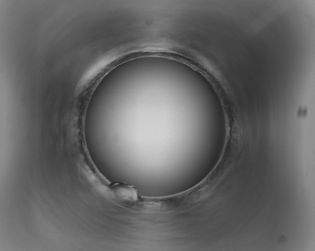 X0000113241456200909171551