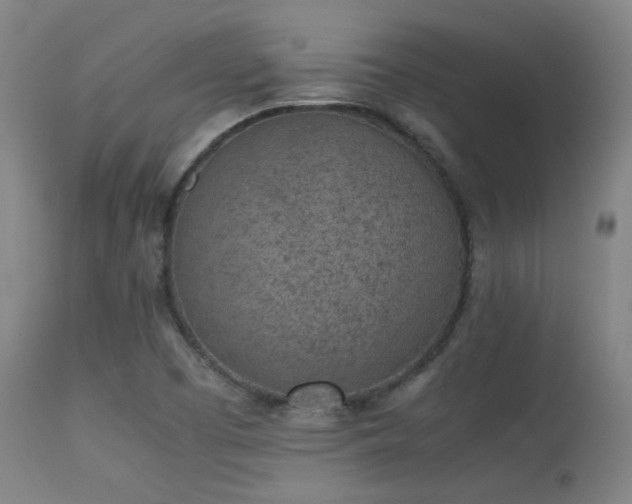 X0000113241457200909171551