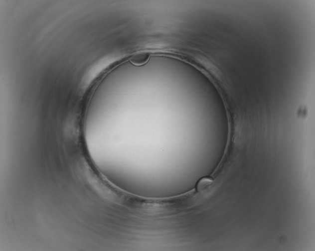 X0000113241458200909171551