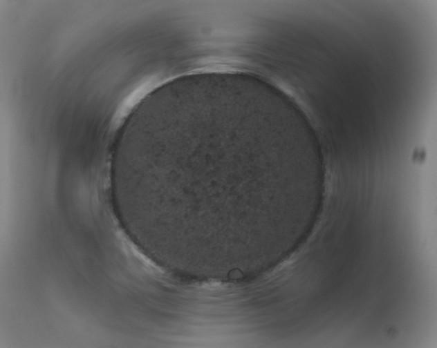 X0000113241459200909171551