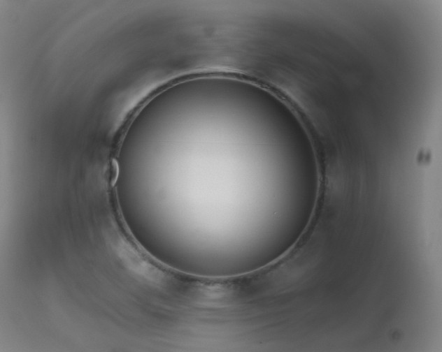 X0000113241460200909171551