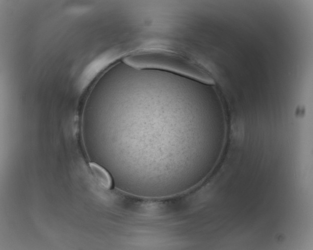 X0000113241461200909171551