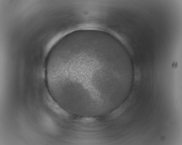 X0000113241462200909171551