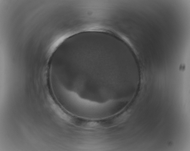 X0000113241463200909171551