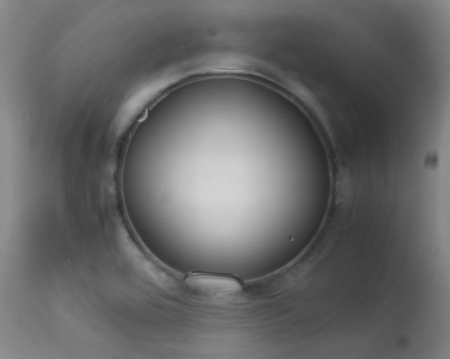 X0000113241464200909171551