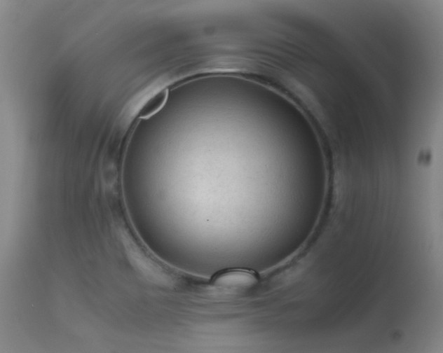 X0000113241465200909171551