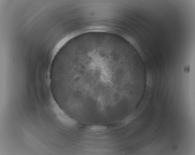 X0000113241466200909171551